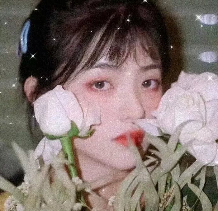 十全主妇